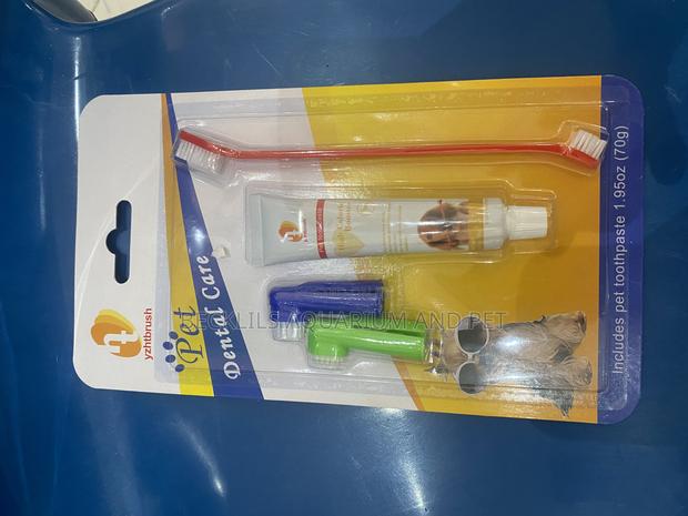 Pet Dental Care · Photo 4
