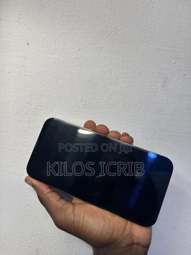 Apple iPhone 13 Pro Max 256 GB Blue photo 4