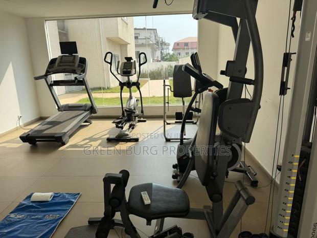 Furnished 2bdrm Apartment in Labone for rent photo 6