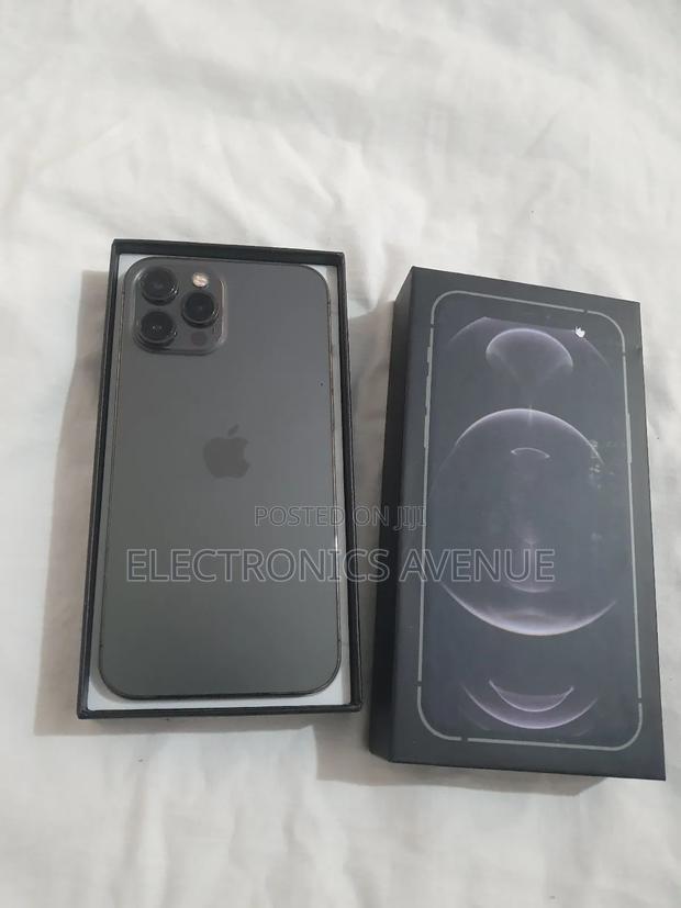 New Apple iPhone 12 Pro Max 256 GB Gray photo 2