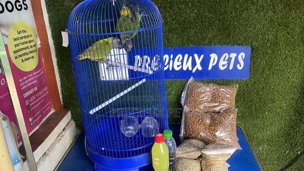 Full Package Pet Bird · Photo 3