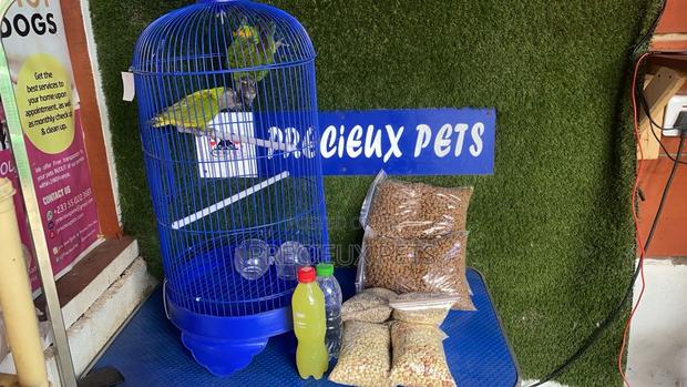 Full Package Pet Bird · Photo 4