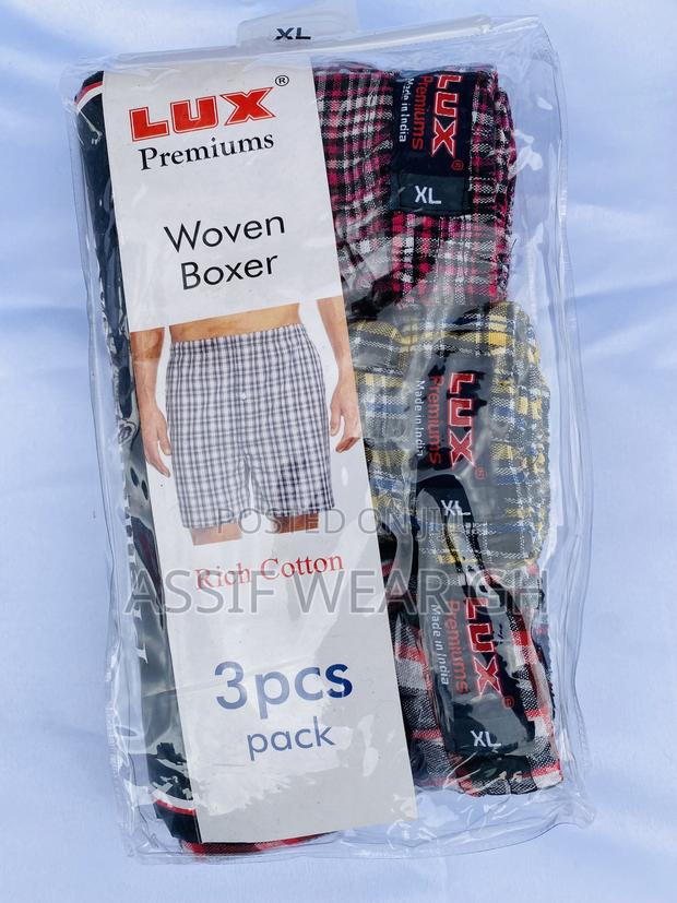 Quality Lux Premium Boxer · Photo 4