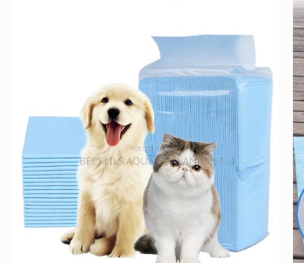 Dog Disposable Diapers (100 Pieces) · Photo 3