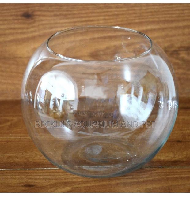 Round Pet Bowl · Photo 3