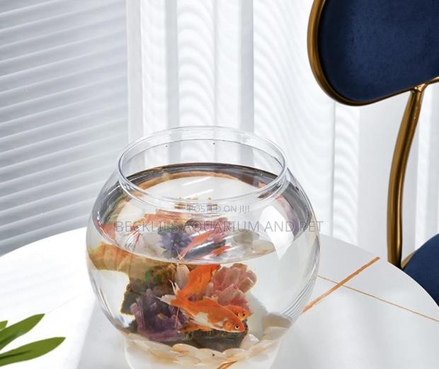 Round Fish Bowl With Fish · Photo 4