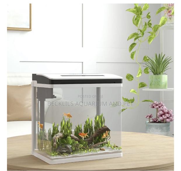 Aquarium Fish Tank · Photo 4