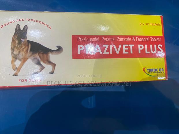 Quality Dewormer for Dogs · Photo 4