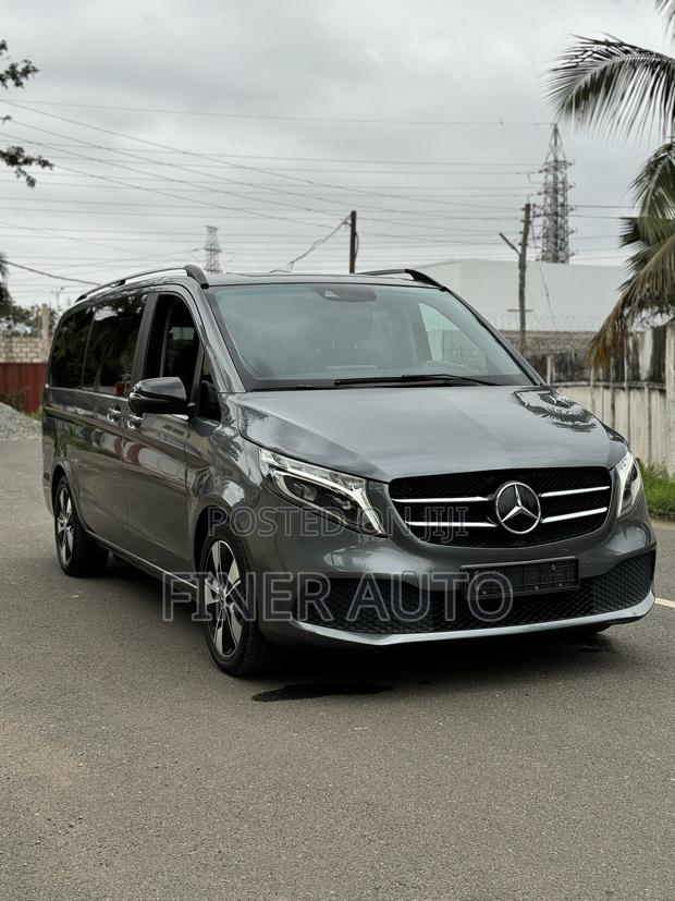 Mercedes-Benz Viano 2021 Gray