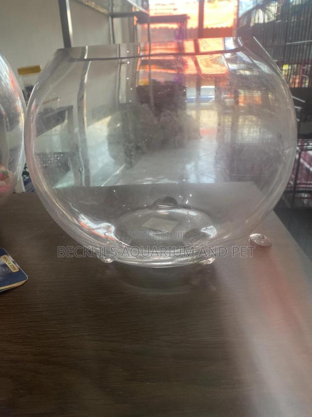 Round Pet Bowl · Photo 4