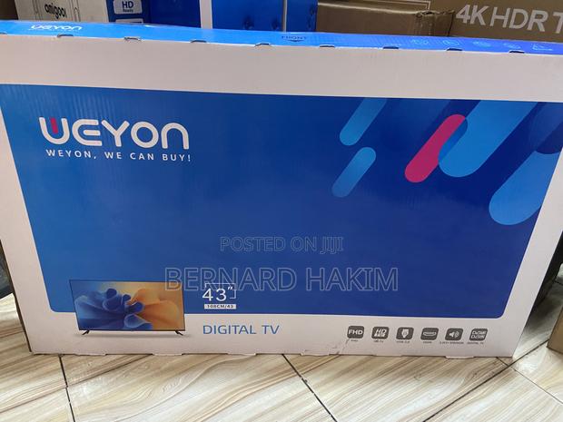 Weyon 43” Digital Satellite Smart photo 2
