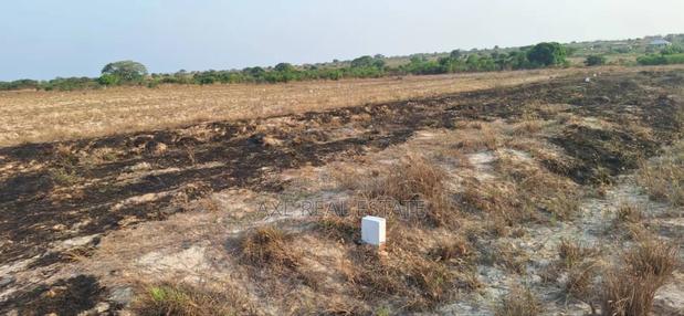 Secure Landguard Free Registered Lands - Afienya Shai Hills · Photo 3