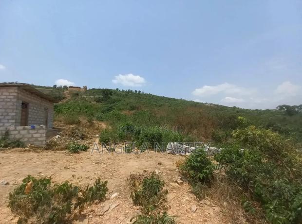 5 Plots for Sale at Ayi Mensah Hills · Photo 4