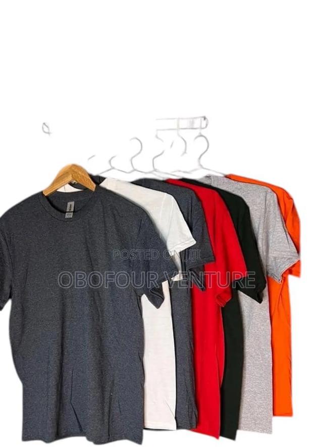 Adult Plain T-Shirt From USA