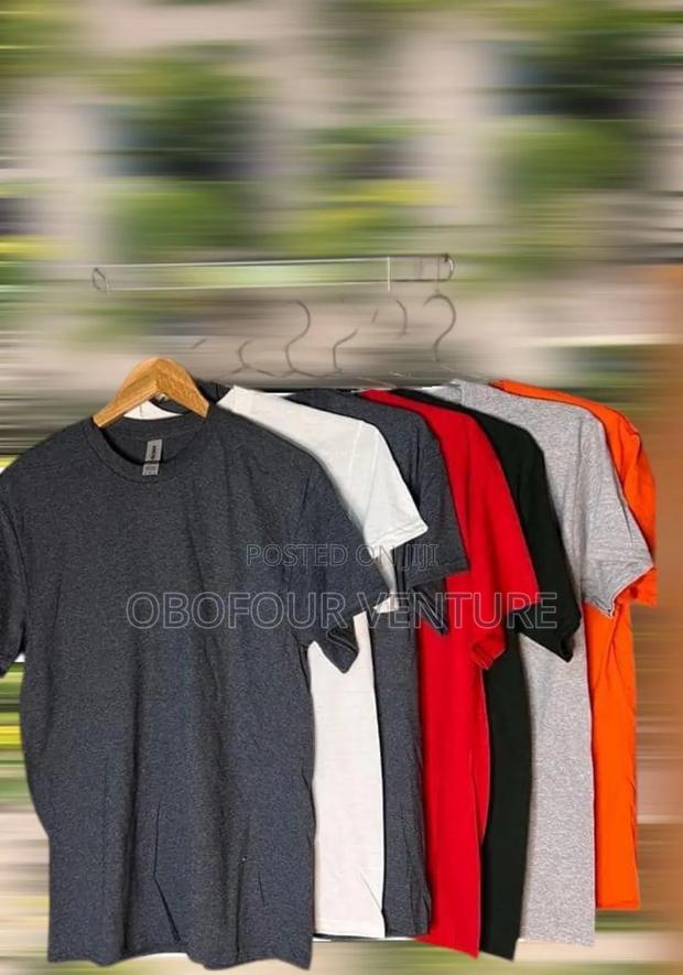 Adult Plain T-Shirt From USA