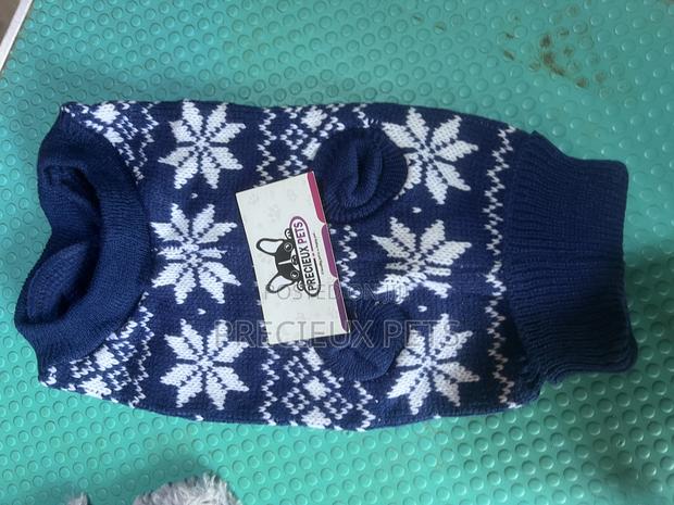 Toy Dog Clothing 2025-01 · Photo 2