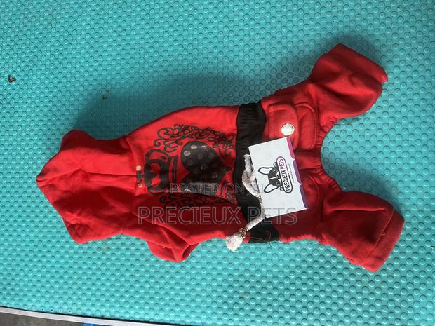 Toy Dog Clothing 2025-0 2 · Photo 3