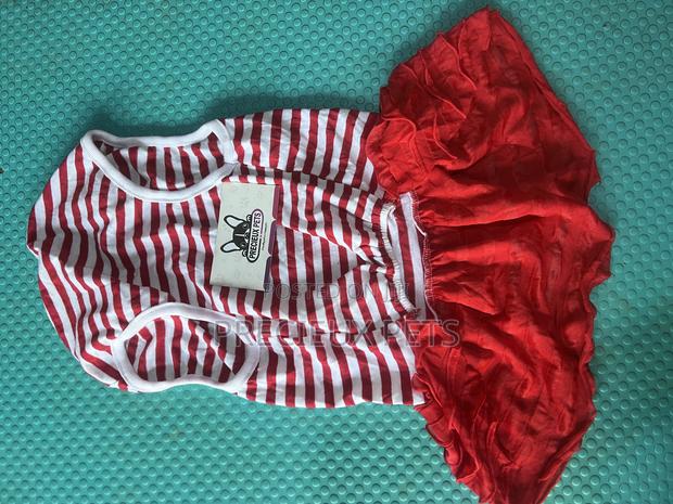 Toy Dog Clothing 2025-0 4 · Photo 2