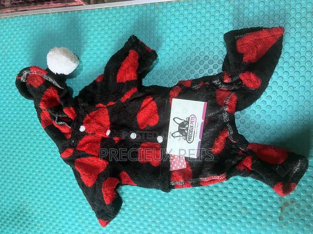 Toy Dog Clothing 2025-0 13 · Photo 4