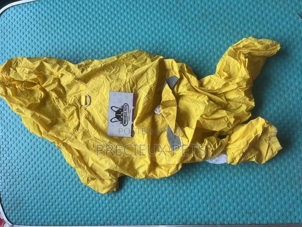 Toy Dog Clothing- New Stock -2025-000054 · Photo 2