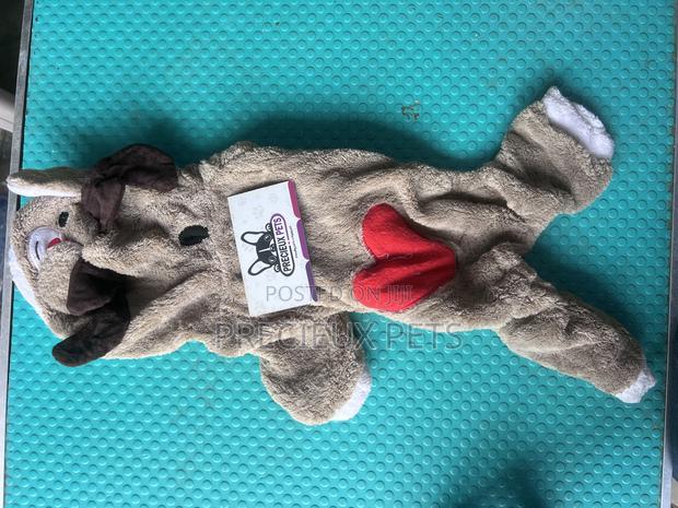 Toy Dog Clothing- New Stock -2025-00052000 · Photo 3