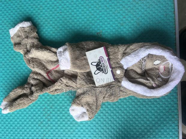 Toy Dog Clothing- New Stock -2025-00052000 · Photo 4