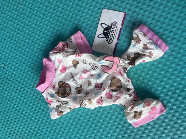 Toy Dog Clothing- New Stock -2025-000048-00 · Photo 3