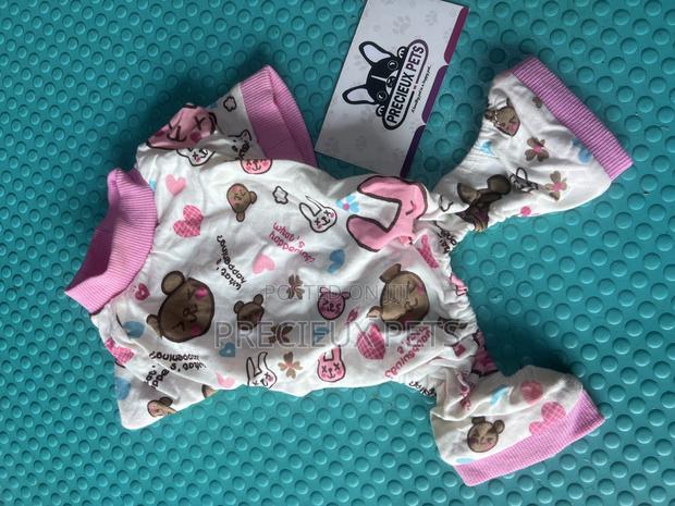 Toy Dog Clothing- New Stock -2025-000048-00 · Photo 4