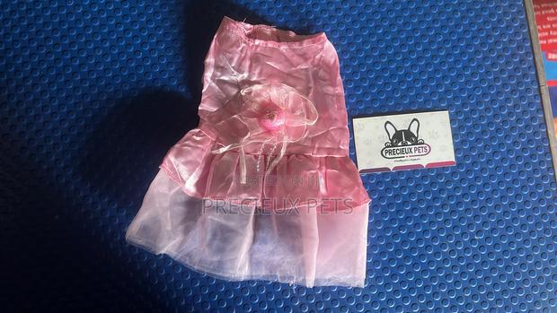 Toy Dog Clothing- New Stock -2025-0620000 · Photo 2