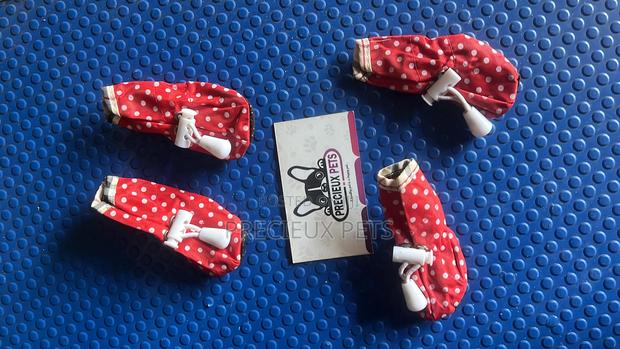 Shoes for Toy Dogs -Adolescent · Photo 3