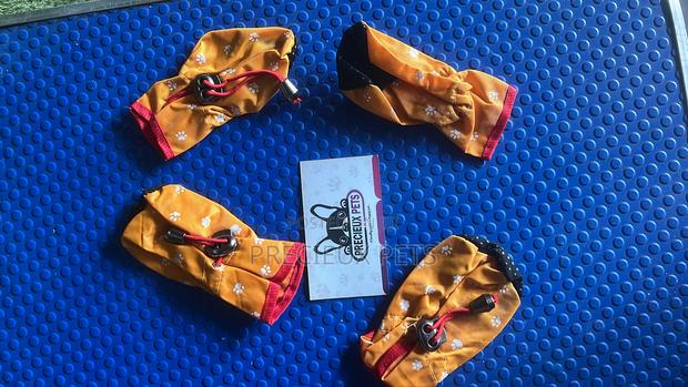 Shoes for Toy Dogs -Adolescent · Photo 4