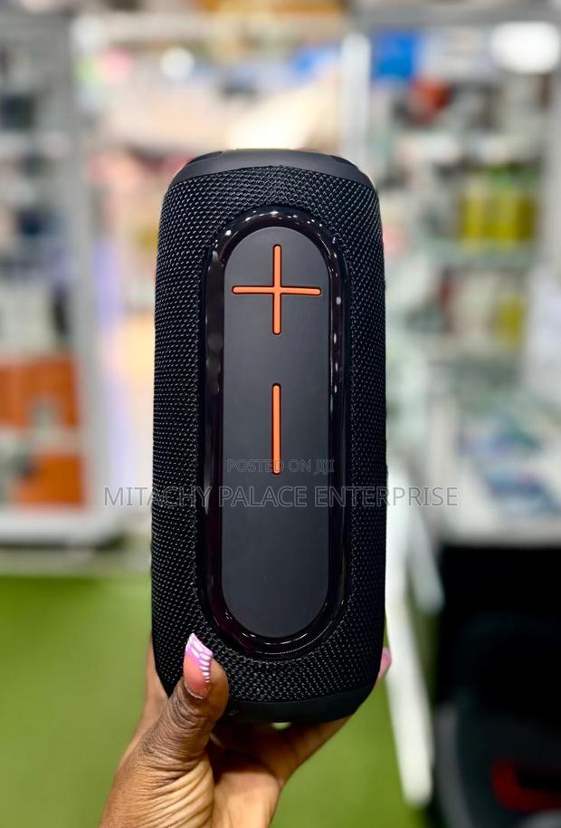 P10 Pro Bluetooth Speaker photo 2
