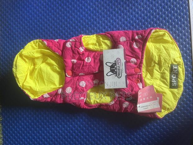 Toy Dog Clothing- New Stock -2025-00064000 · Photo 4