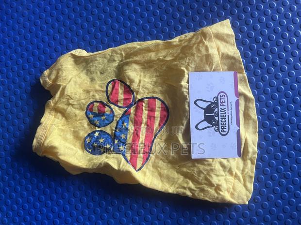 Toy Dog Clothing- New Stock -2025-0660000 · Photo 2