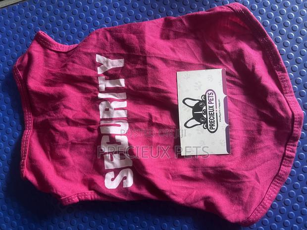 Toy Dog Clothing- New Stock -2025-070-000 · Photo 2