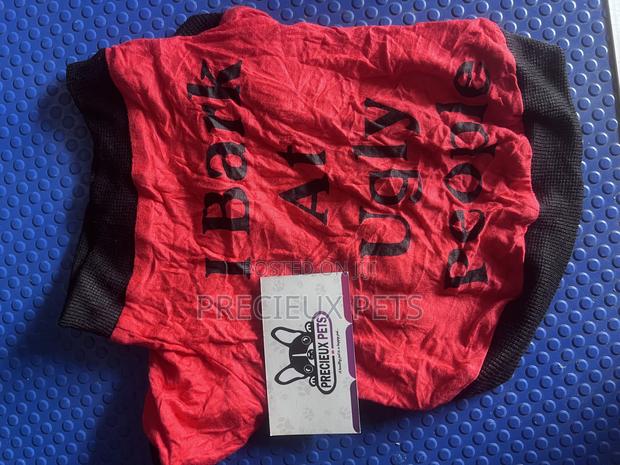 Toy Dog Clothing- New Stock -2025-071-0001 · Photo 2