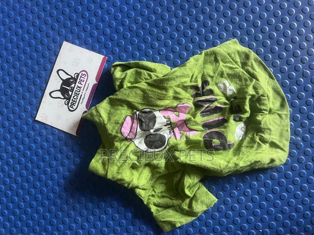 Toy Dog Clothing- New Stock -2025-000720000 · Photo 2