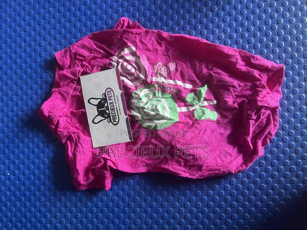Toy Dog Clothing- New Stock -2025-00077000 · Photo 2