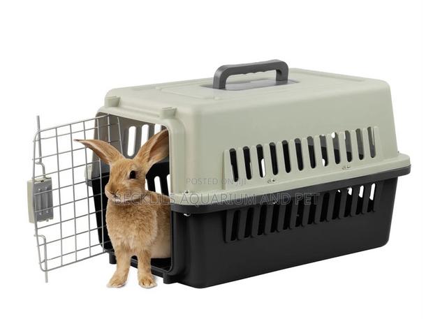 Plastic Dog Crate Available · Photo 4