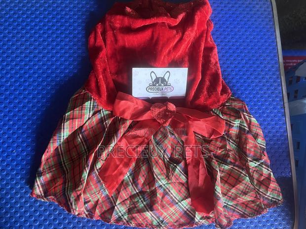 Toy Dog Clothing- New Stock -2025-00001000 · Photo 2