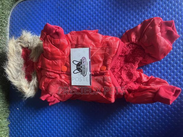 Toy Dog Clothing- New Stock -2025-0 030000 · Photo 3