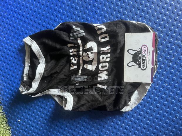 Toy Dog Clothing- New Stock -2025-0 400000 · Photo 2