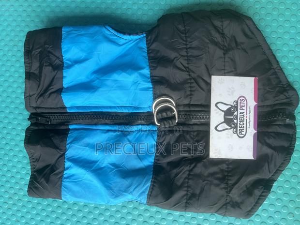 Toy Dog Clothing- New Stock -2025-0500037 · Photo 2