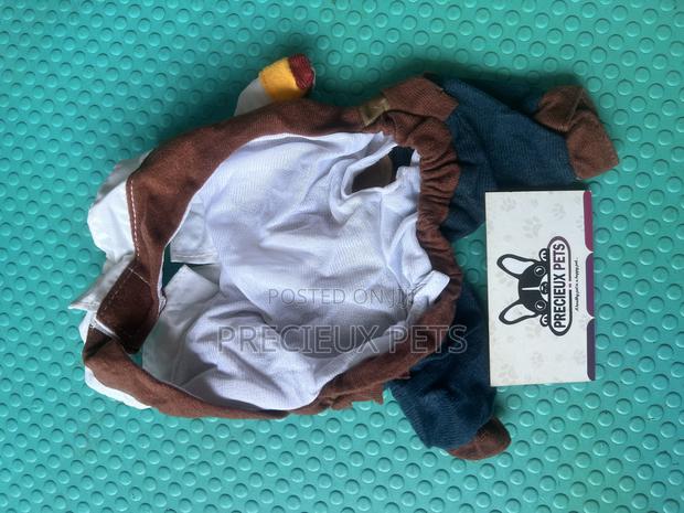 Toy Dog Clothing- New Stock -2025-000400503 · Photo 3