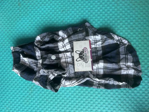 Toy Dog Clothing- New Stock -2025-0 4020000 · Photo 2