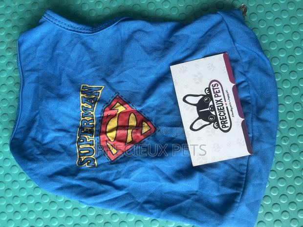 Toy Dog Clothing- New Stock -2025-0 00300200 · Photo 3