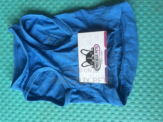 Toy Dog Clothing- New Stock -2025-0 00300200 · Photo 4