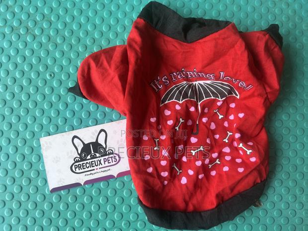 Toy Dog Clothing- New Stock -2025-0 30200204 · Photo 2