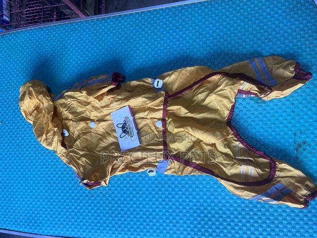 Toy Dog Clothing- New Stock -2025-0 639263920 · Photo 2