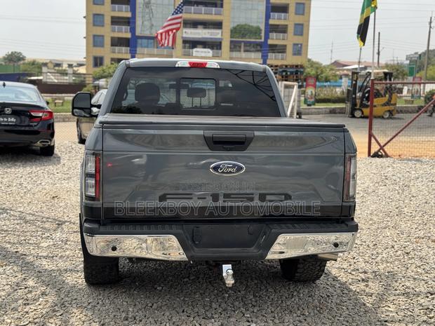 Ford F-150 2019 Gray photo 4